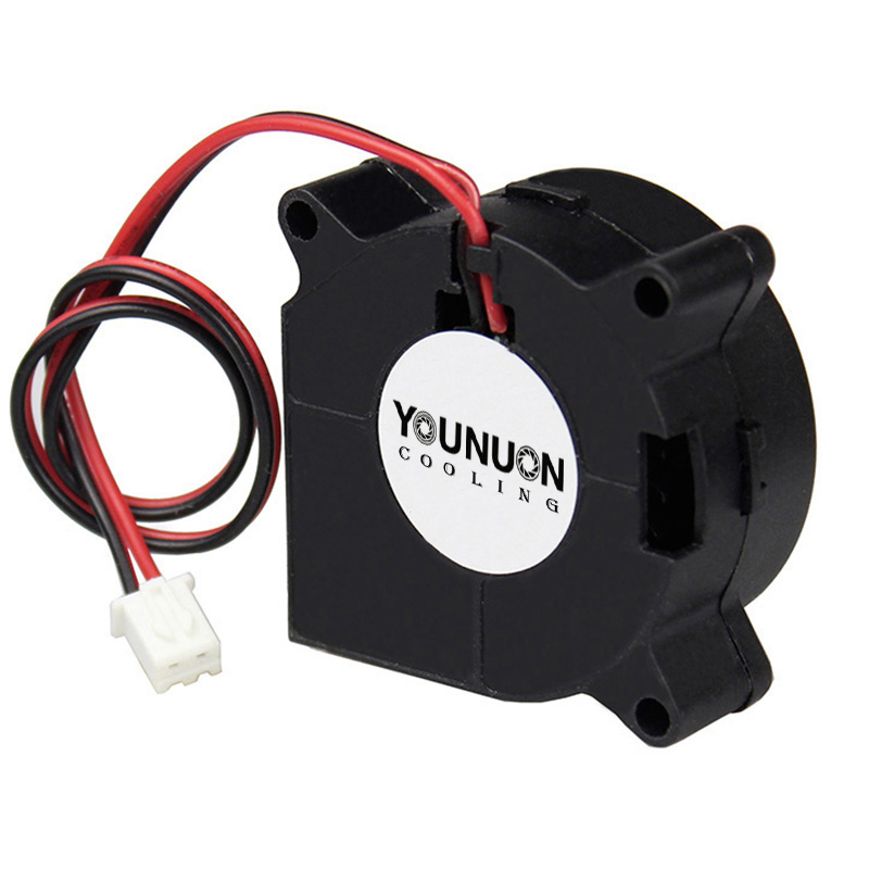 2 Pieces 40mm Blower Fan 4020  - Cooling Fan 40Mm 3D ulasan dan harga