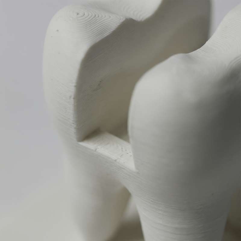 3D Printed Tooth Shaped Busine - 3D Printing Card ulasan dan harga